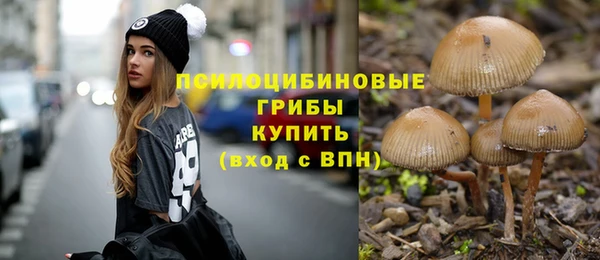 амф Богородск