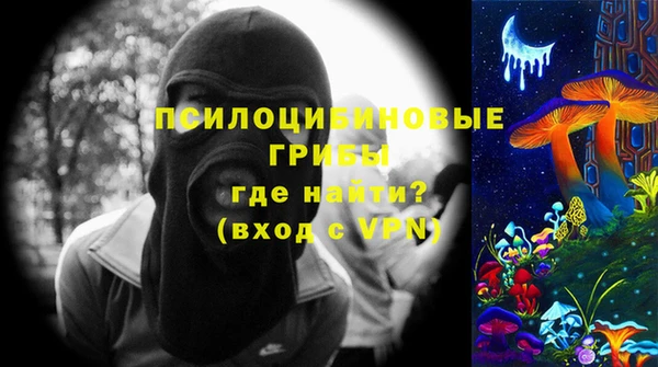 СК Богородицк