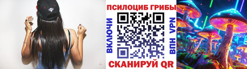 Галлюциногенные грибы Cubensis  Малаховка 